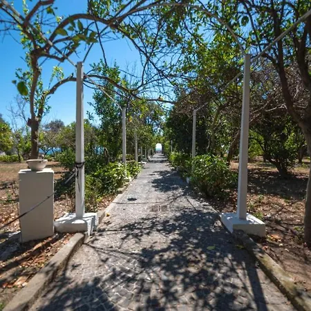 Casa Elsa Apartment *