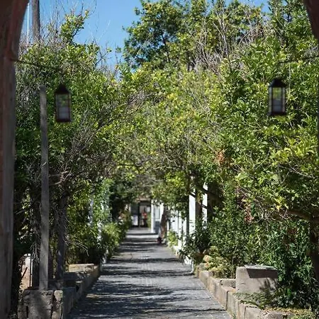 Casa Elsa * Procida