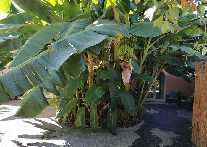 Casa Elsa Appartement Procida