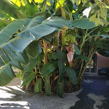 Casa Elsa Апартаменты Прочида